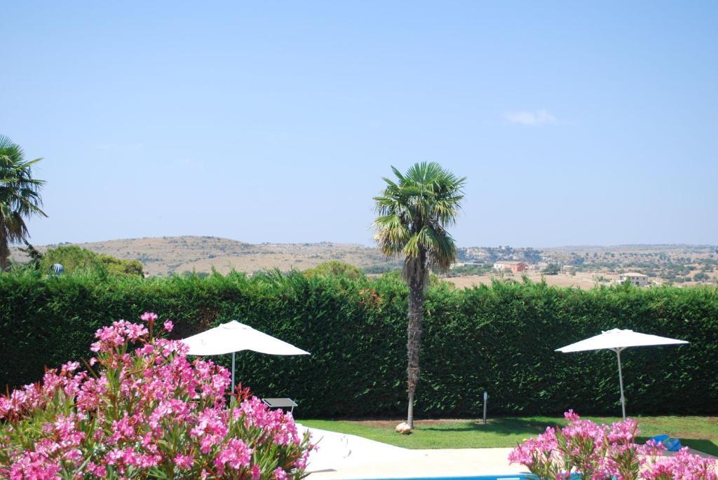 Villa Teresa San Corrado di Fuori Eksteriør billede